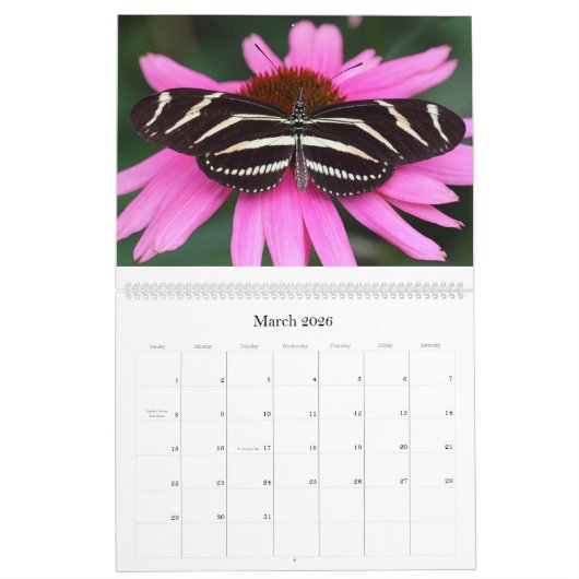 蝶2018年 カレンダー (3月 2026)