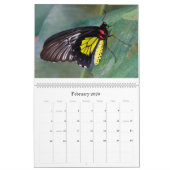 蝶2018年 カレンダー (2月 2026)