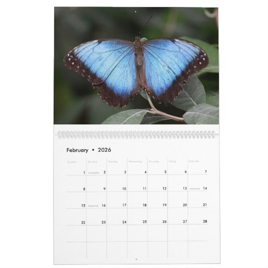 蝶2019年 カレンダー (2月 2026)