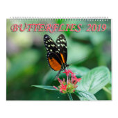 蝶2019年 カレンダー (カバー)