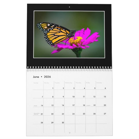 蝶2020カレンダーby Tom Minutolo カレンダー (6月 2026)