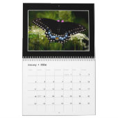 蝶2023カレンダーby Tom Minutolo カレンダー (1月 2026)