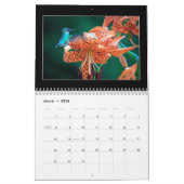 蝶2023カレンダーby Tom Minutolo カレンダー (3月 2026)