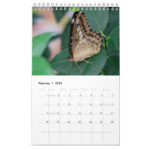 蝶2024カレンダー カレンダー (2月 2026)