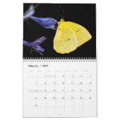 蝶2024 カレンダー (2月 2027)