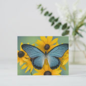 蝶22のSammamishワシントン州の写真 ポストカード (スタンド正面)