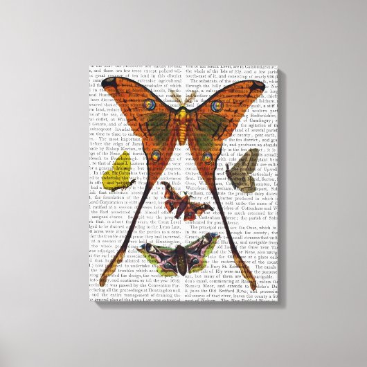 蝶2 キャンバスプリント (正面)