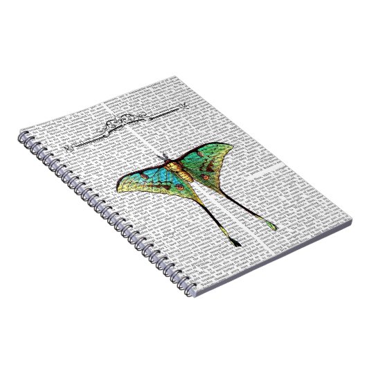 蝶2 ノートブック (右側)