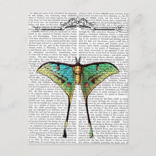 蝶2 ポストカード (正面)