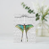 蝶2 ポストカード (スタンド正面)