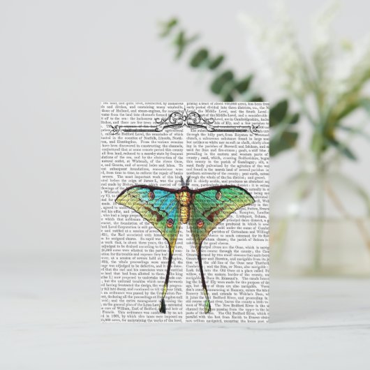 蝶2 ポストカード (スタンド正面)