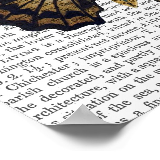 蝶3 ポスター (角)