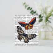 蝶3 ポストカード (スタンド正面)