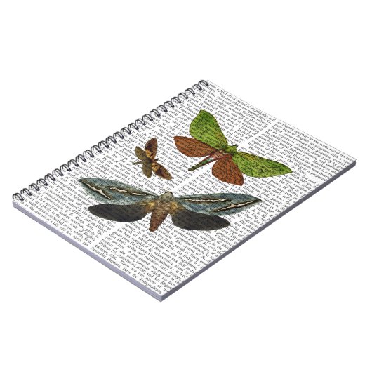 蝶4 ノートブック (左側)