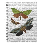 蝶4 ノートブック (正面)