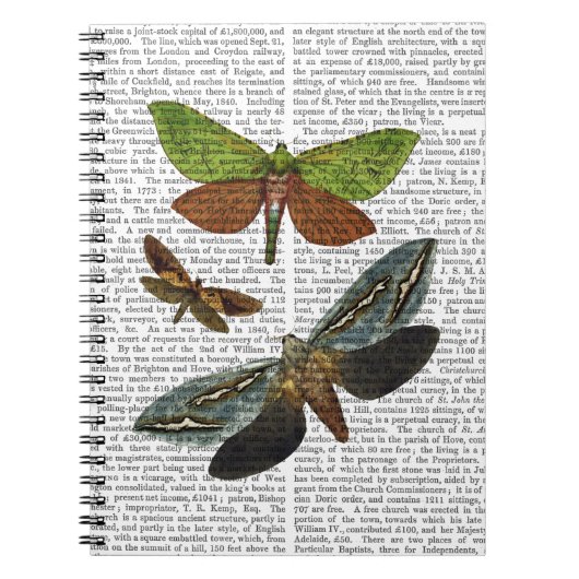 蝶4 ノートブック (正面)