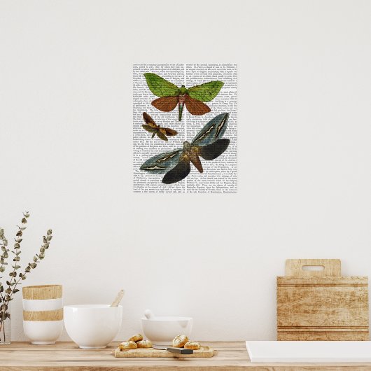 蝶4 ポスター (キッチン)