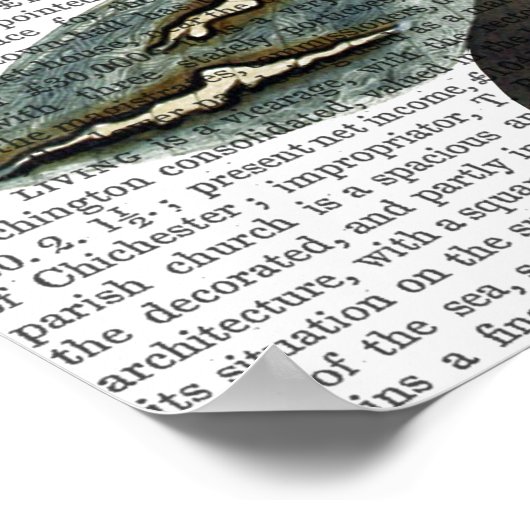 蝶4 ポスター (角)