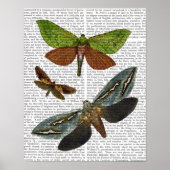 蝶4 ポスター (正面)