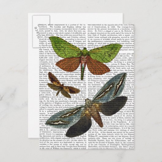 蝶4 ポストカード (正面/裏面)