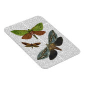 蝶4 マグネット (右側)