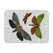 蝶4 マグネット (横)