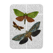 蝶4 マグネット (縦)