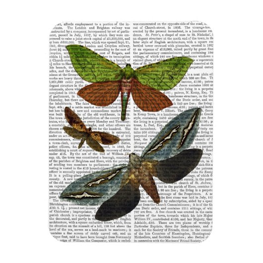 蝶4 マグネット (縦)