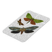 蝶4 マグネット (左側)