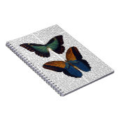 蝶5 ノートブック (右側)