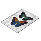 蝶5 ノートブック (左側)