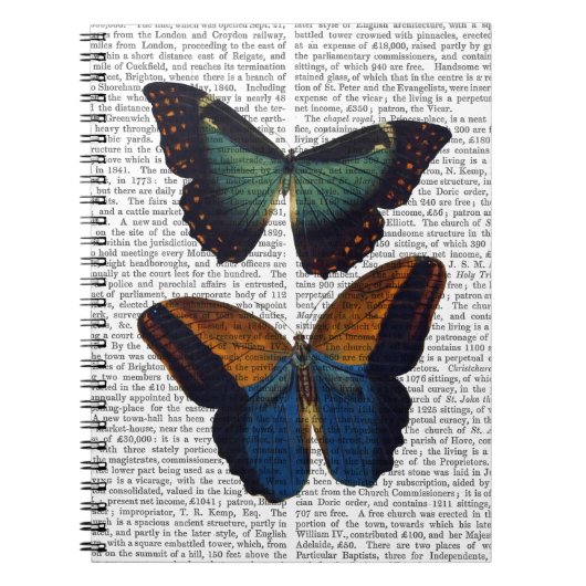 蝶5 ノートブック (正面)