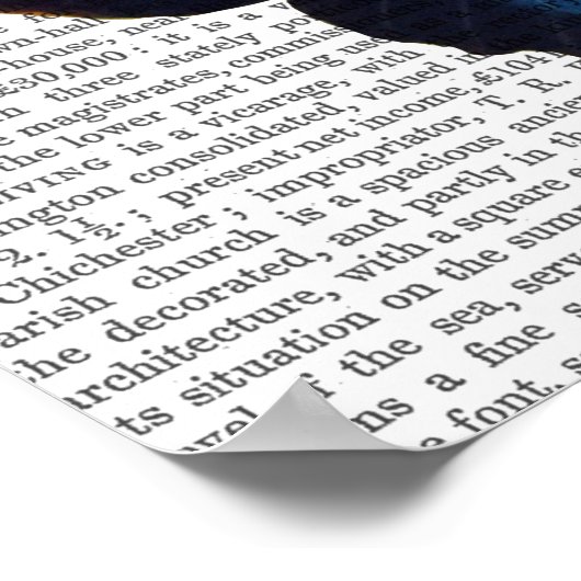 蝶5 ポスター (角)