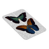 蝶5 マグネット (右側)