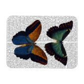 蝶5 マグネット (横)