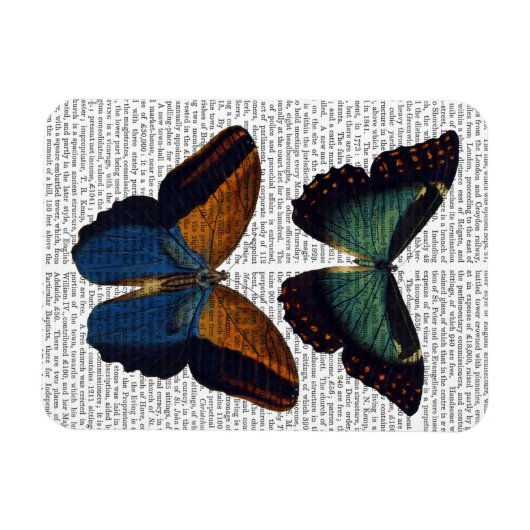 蝶5 マグネット (横)