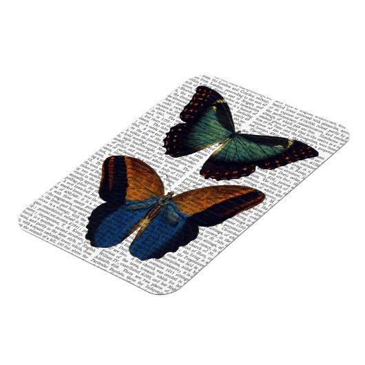 蝶5 マグネット (左側)