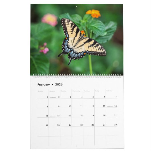 蝶 カレンダー (2月 2026)
