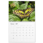 蝶 カレンダー (2月 2027)