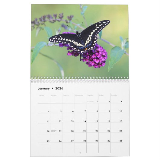 蝶 カレンダー (1月 2026)