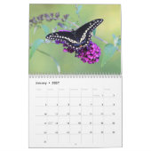 蝶 カレンダー (1月 2027)