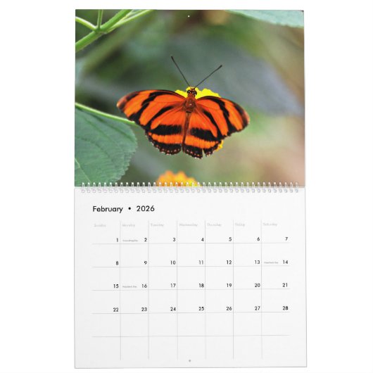 蝶 カレンダー (2月 2026)