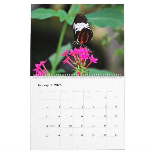 蝶 カレンダー (1月 2026)