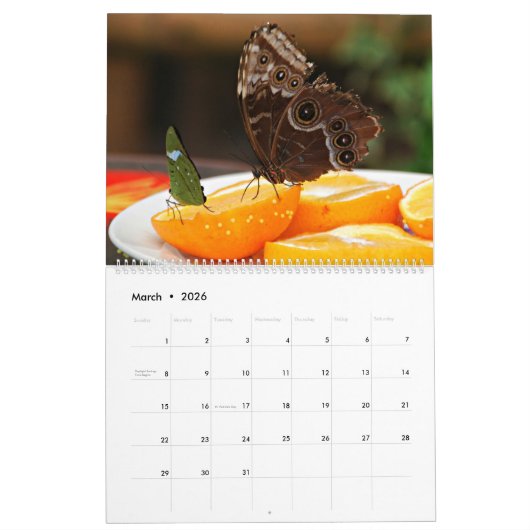 蝶 カレンダー (3月 2026)