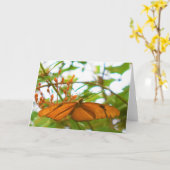 蝶 カード (黄色い花)