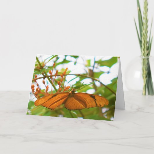 蝶 カード (正面)