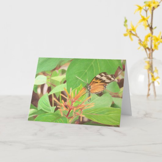 蝶 カード (黄色い花)