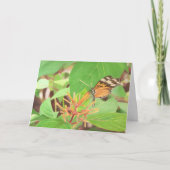 蝶 カード (正面)