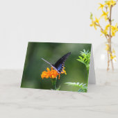 蝶 カード (黄色い花)