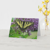 蝶 カード (黄色い花)